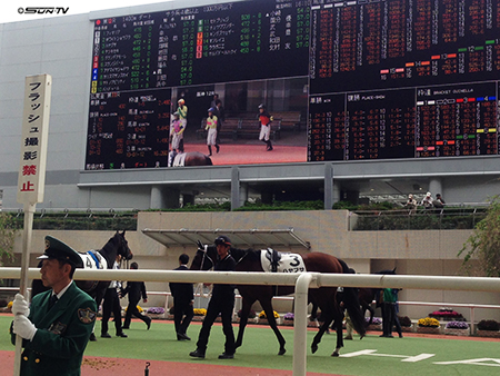 大きいモニター!