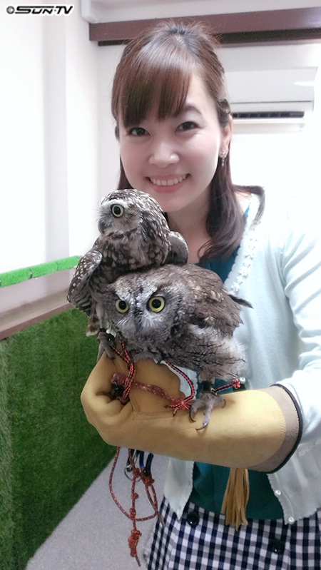 フクロウカフェ ビビ&ジョージさん