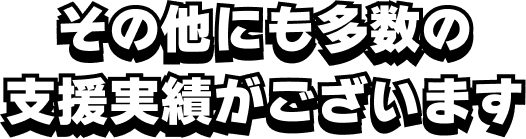 その他にも多数の支援実績がございます