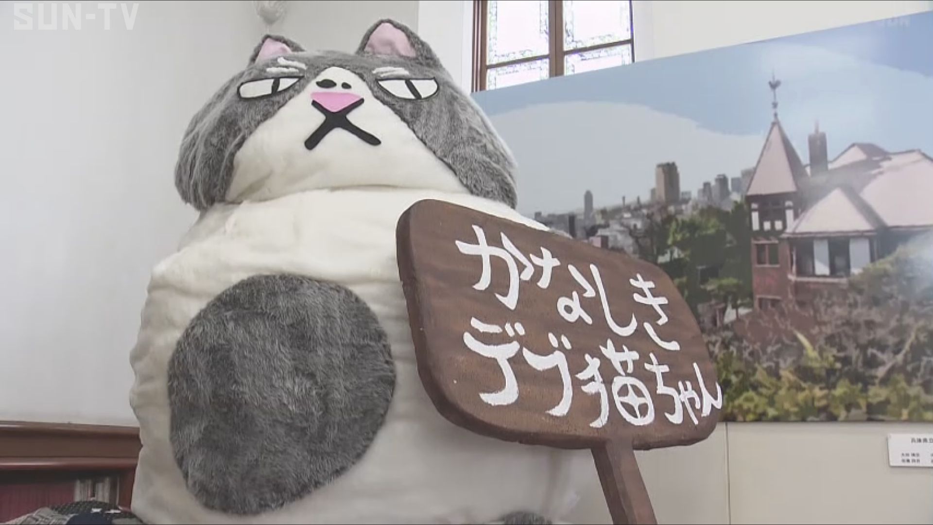 愛媛発 旅するネコ兵庫上陸 「かなしきデブ猫ちゃんの世界」企画展