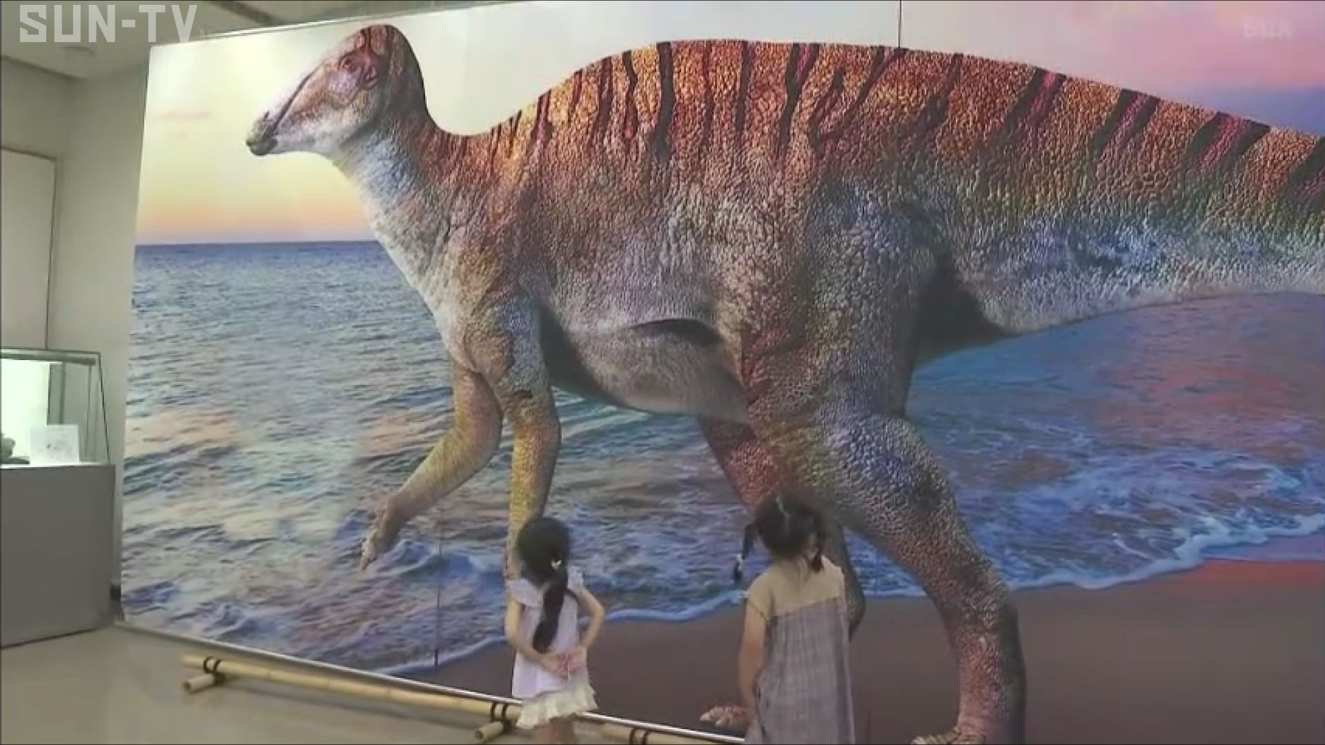 新種の恐竜「ヤマトサウルス・イザナギイ」 洲本市で特別展 - サン