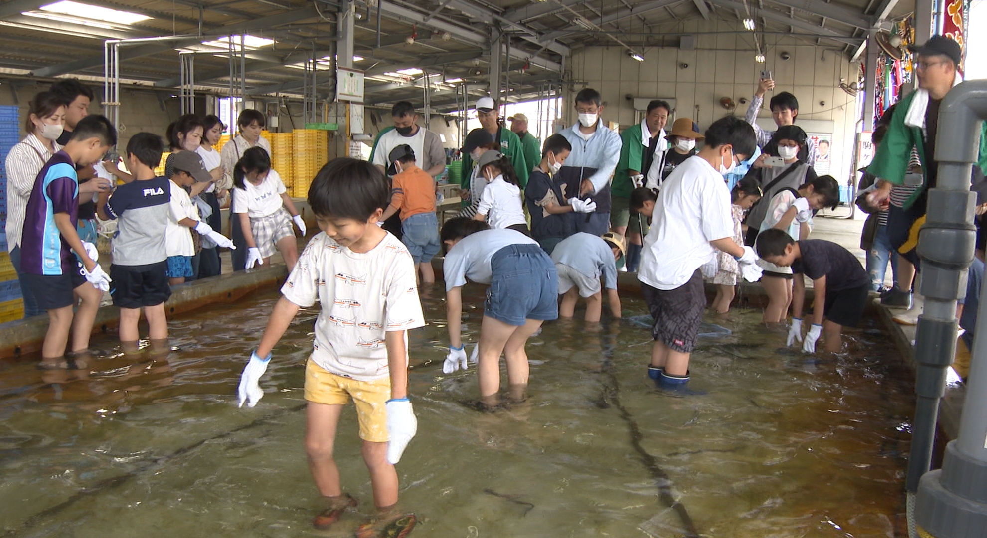 長田区の漁業の魅力を 親子体験ツアー - サンテレビニュース