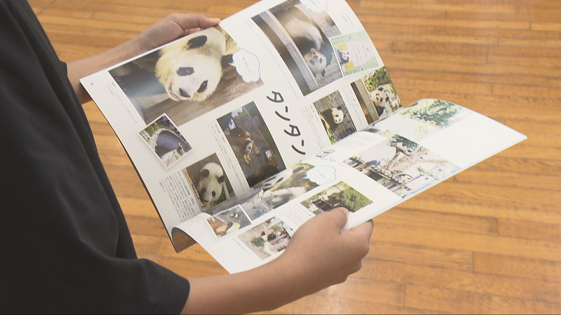 タンタン　神戸新聞 縮刷版 2021年　ジャイアントパンダ　１冊　数量限定　レア 神戸新聞 縮刷版 2021年 ジャイアントパンダ タンタン 1冊 数量