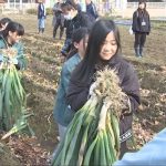 (但馬)岩津ネギの収穫体験01_frame_1208.jpeg