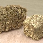 0226 但馬 ヘイキューブ シカ捕獲研修_frame_10385.jpeg