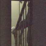 0314 姫路 播磨町で殺人_frame_10193.jpeg