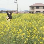 20250322 菜の花迷路_frame_59885.jpeg